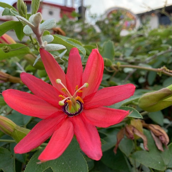 Welcome ❤️ Bookmark My Closet - Picture 2 of 16